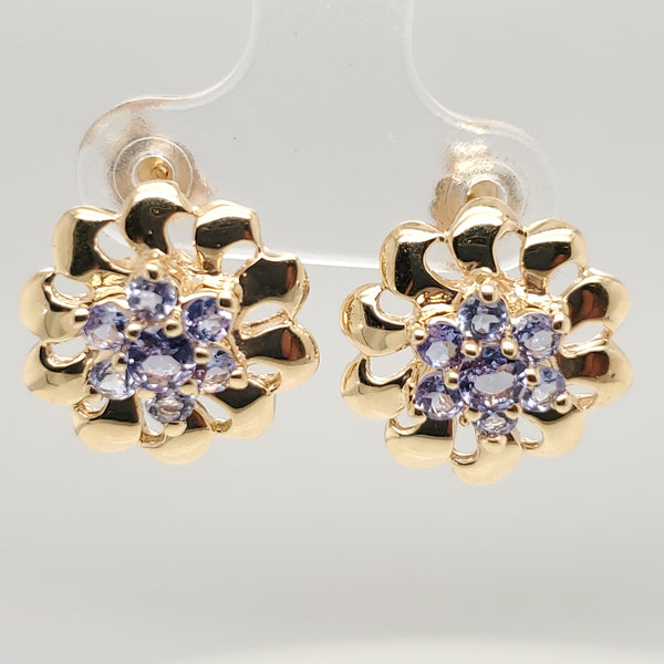 14kt Yellow Gold Tanzanite Earrings