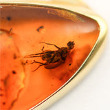 14Kt Yellow Gold Amber Necklace With Enclosed Bug