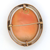 VICTORIAN CAMEO BROOCH/PENDANT