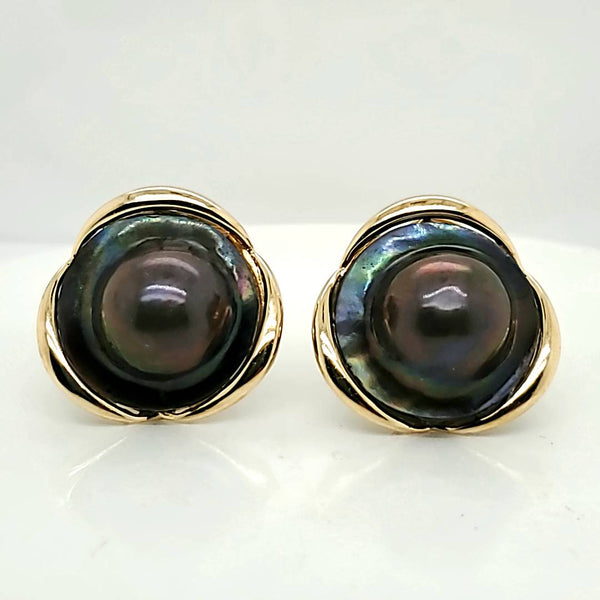 14kt Yellow Gold Abalone Shell Earrings