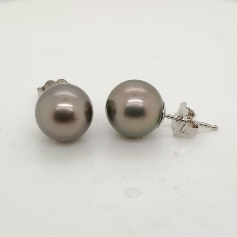 14kt White Gold Tahttian Pearl Studs
