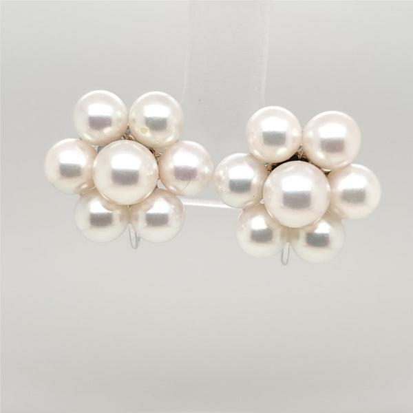 14kt White Gold Cultured Akoya Pearl Earrings