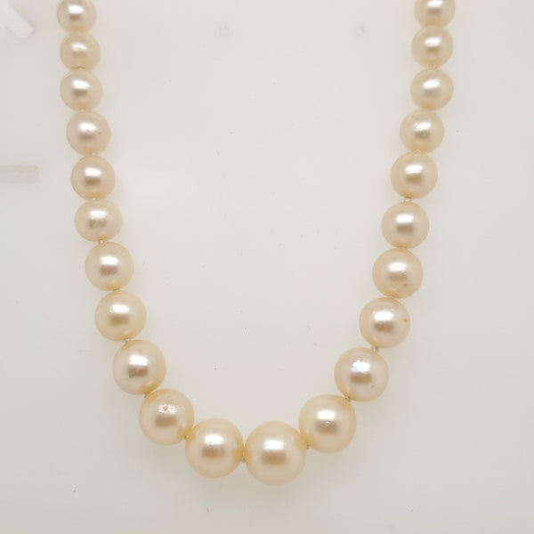 20"" Graduated Cultured Akoya Pearl Strand