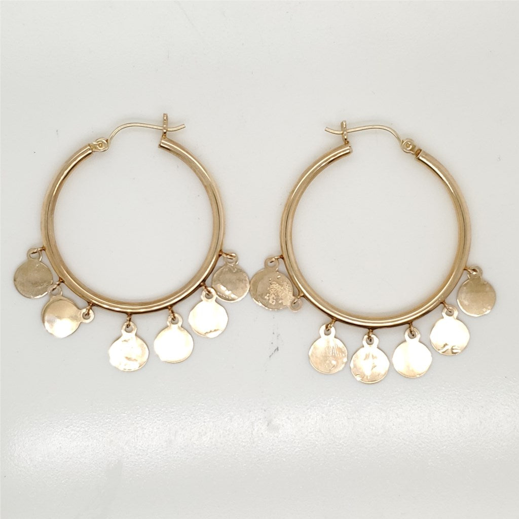14kt Yellow Gold Hoop and Dangle Earrings